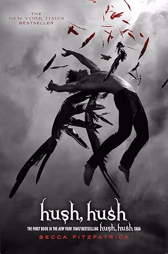 Hush, Hush book cover